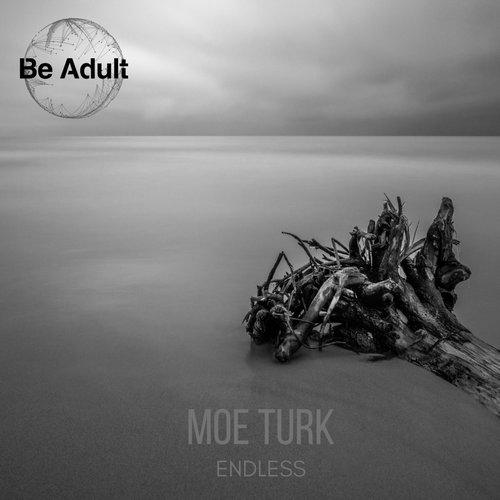 Moe Turk - Endless [231]